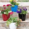 Viva Round Self-Watering Planter, 7" Diameter -Gardeners 8595222 5302 tif