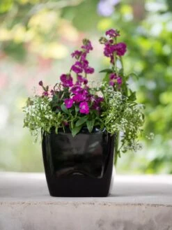 Viva Square Self-Watering Planter, 7" Diameter -Gardeners 8595223 1107 tif