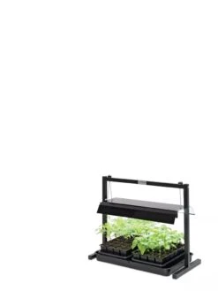 LED SunLite® Compact Tabletop Garden -Gardeners 8595555 10136 tif