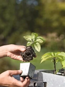 Galvanized Seed Starting Tray -Gardeners 8595893 4378 tif