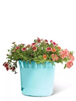 Eezy Gro Self-Watering Planters -Gardeners 8596426 103 tif