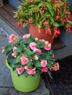 Eezy Gro Self-Watering Planters -Gardeners 8596427 0034 tif