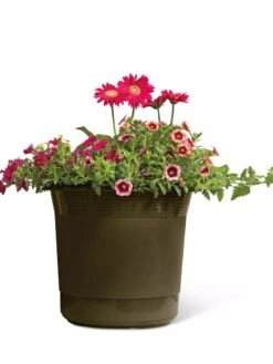 Eezy Gro Self-Watering Planters -Gardeners 8596427 108 tif