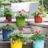 Eezy Gro Self-Watering Planters -Gardeners 8596427 5498 tif