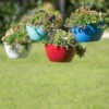 Viva Self-Watering Hanging Basket, 14" Diameter -Gardeners 8596442 0851 tif