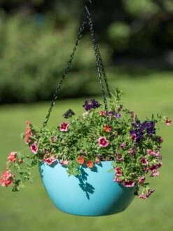 Viva Self-Watering Hanging Basket, 14" Diameter -Gardeners 8596442 0859 tif