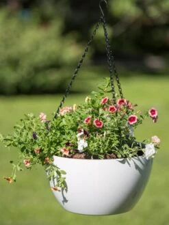 Viva Self-Watering Hanging Basket, 14" Diameter -Gardeners 8596442 0864 tif