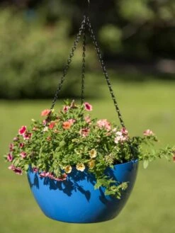 Viva Self-Watering Hanging Basket, 14" Diameter -Gardeners 8596442 0876 tif