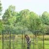 Crop Cage, 4' X 12' 2 Crop Cage, 4' X 12' -Gardeners 8596540 9838 1 large fruit crop cage 4 foot x 12 foot tif