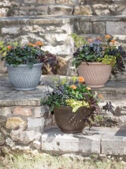 Mazzano Self-Watering Planters -Gardeners 8596563 4899 tif