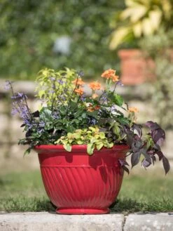 Mazzano Self-Watering Planters -Gardeners 8596564 4883 tif