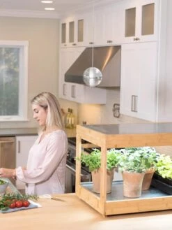 Low Bamboo LED Grow Light Garden -Gardeners 8597720 0816 tif