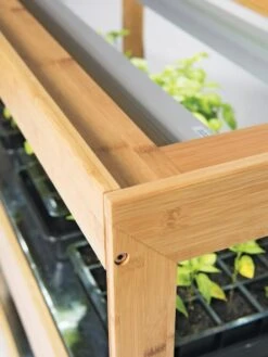 Bamboo Display LED Grow Light Garden -Gardeners 8597720 7795 tif