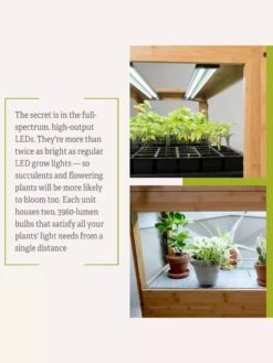 Bamboo LED Grow Light Garden For Succulents And Seeds -Gardeners 8598084 7