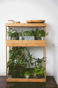 Bamboo Home LED Grow Light Garden -Gardeners 8598088 BambooLEDHomeGarden light gif