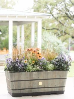 VegTrug™ Trough Planters -Gardeners 8598402 08880 tif