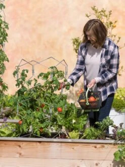 Gardener's Vertex Lifetime Tomato Cage -Gardeners 8598426 0026 tif