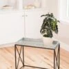 Plant Stand With Galvanized Tray -Gardeners 8599022 14588 tif