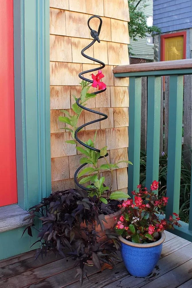 Achla Designs Spiral Trellis 3 Achla Designs Spiral Trellis