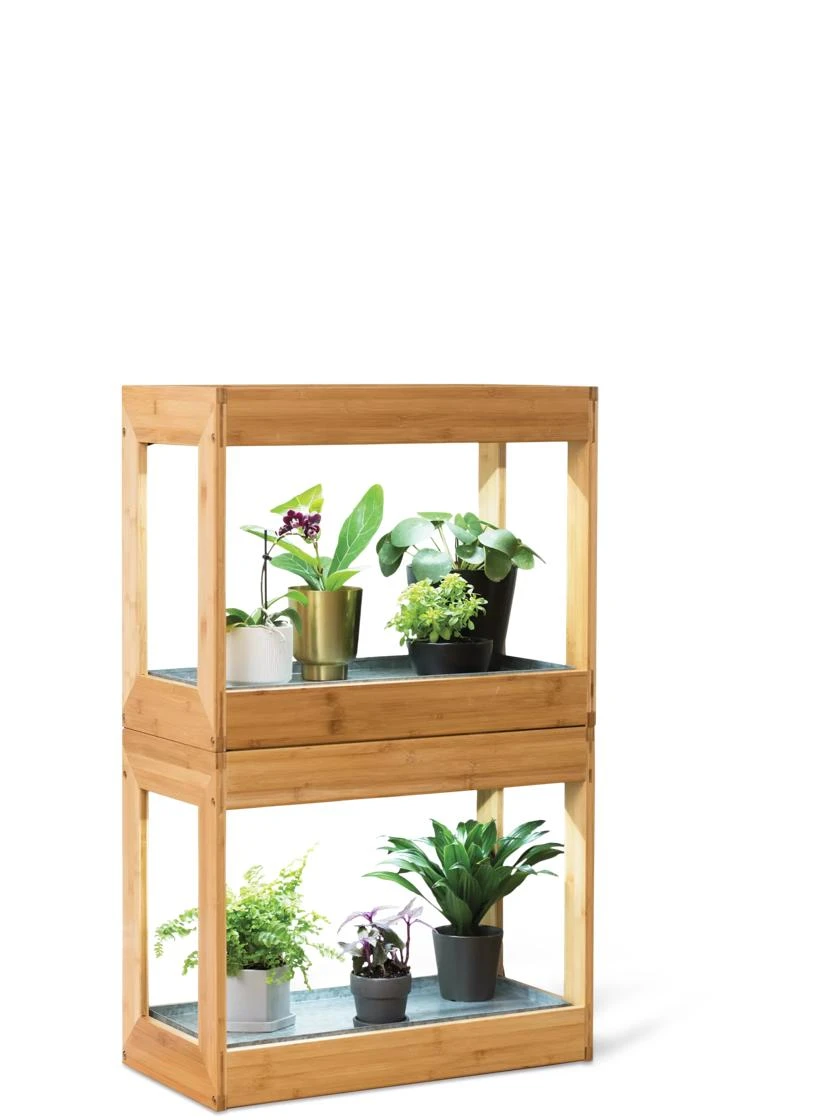 Bamboo Mini LED Grow Light Garden 8 Bamboo Mini LED Grow Light Garden - Image 7