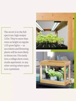 Bamboo Mini LED Grow Light Garden 19 Bamboo Mini LED Grow Light Garden -Gardeners 8599624 06