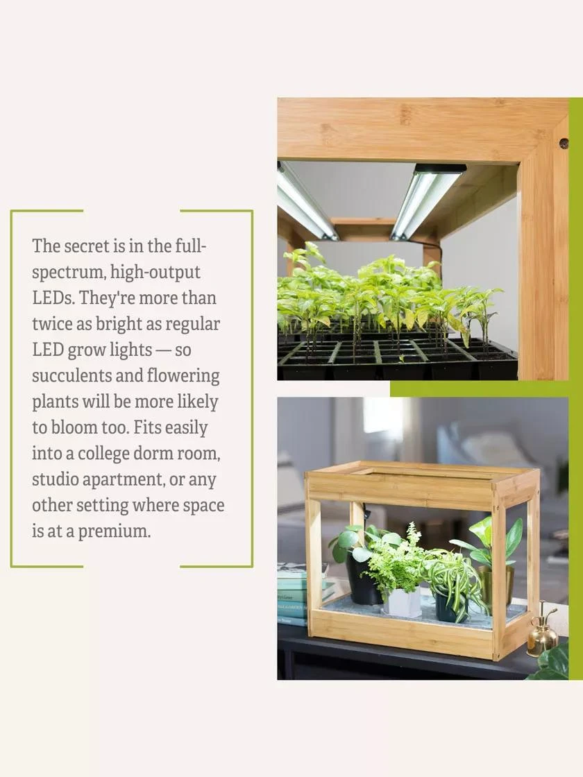 Bamboo Mini LED Grow Light Garden 10 Bamboo Mini LED Grow Light Garden - Image 9