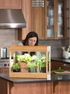 Bamboo Mini LED Grow Light Garden 14 Bamboo Mini LED Grow Light Garden -Gardeners 8599624 12532 tif