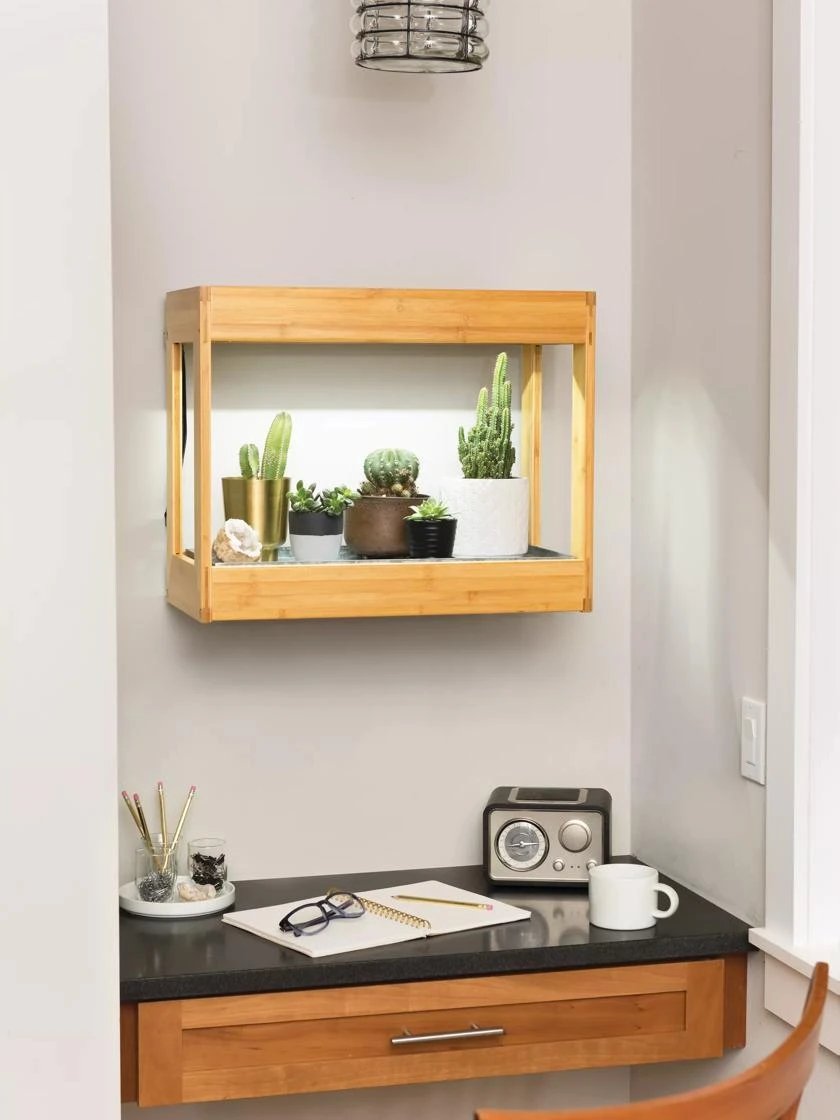 Bamboo Mini LED Grow Light Garden 4 Bamboo Mini LED Grow Light Garden - Image 3