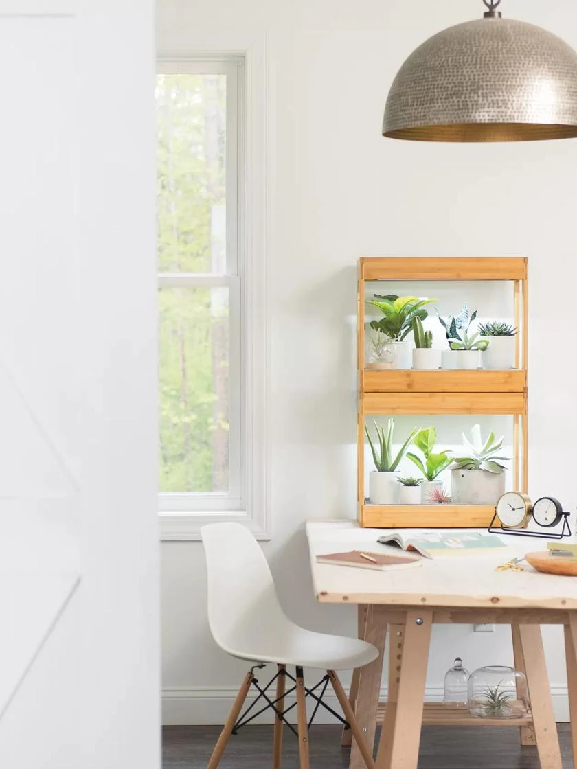 Bamboo Mini LED Grow Light Garden 6 Bamboo Mini LED Grow Light Garden - Image 5