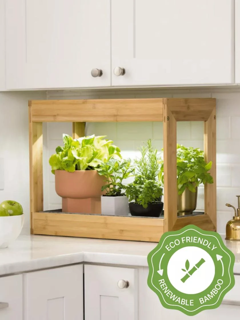 Bamboo Mini LED Grow Light Garden 2 Bamboo Mini LED Grow Light Garden