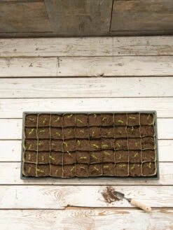 Paper Pots, 50 Cell -Gardeners 8599830 18489 tif