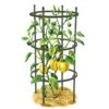 Titan Pepper Eggplant Cages, Set Of 3 -Gardeners 8599859 0001 art tif