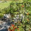 Titan Tomato Cages, Set Of 3 1 Titan Tomato Cages, Set Of 3 -Gardeners 8599861 0049 tif