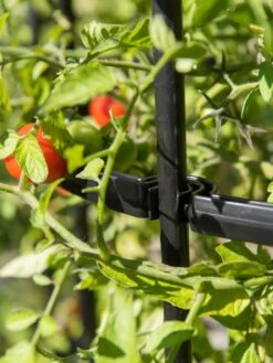 Titan Tomato Cages, Set Of 3 -Gardeners 8599861 0079 tif