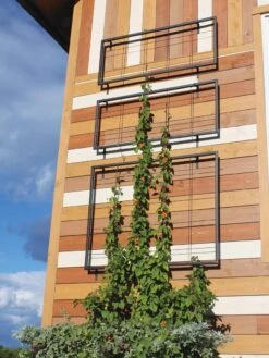 Exeter Wall Trellis -Gardeners 8600049 7121 tif