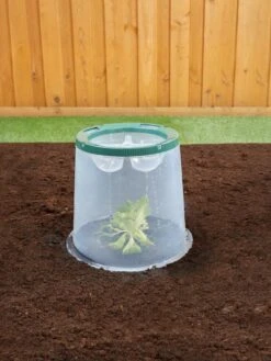 Sunny Forcing Cloches, Set Of 3 -Gardeners 8600075 02V tif