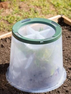 Sunny Forcing Cloches, Set Of 3 -Gardeners 8600075 0734 tif
