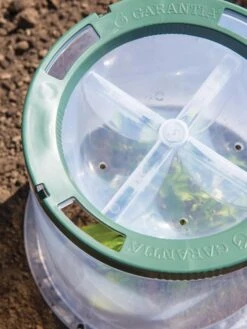 Sunny Forcing Cloches, Set Of 3 -Gardeners 8600075 0742 tif