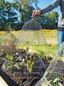 Chicken Wire Cloche With Extension -Gardeners 8600116 0604 3 4