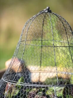 Chicken Wire Cloche With Extension -Gardeners 8600116 0607 tif