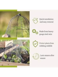 Chicken Wire Cloche With Extension -Gardeners 8600116 3