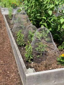 Chicken Wire Cloche With Extension -Gardeners 8600116 4930 tif