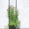 Gardener’s Victory Self-Watering Planter With Vine Trellis -Gardeners 8600177 05490 tif