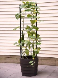 Gardener’s Victory Self-Watering Planter With Vine Trellis -Gardeners 8600177 9876 tif
