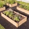 Copper Cap Raised Beds -Gardeners 8600497 0526 tif