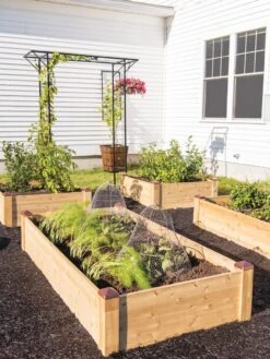 Copper Cap Raised Beds -Gardeners 8600497 0530 tif