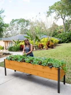 Self-Watering Eco-Stained Elevated Planter Box, 2' X 8' -Gardeners 8608965 6069 tif