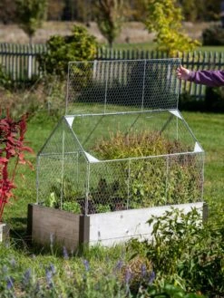 Chicken Wire Crop Coop 21 Chicken Wire Crop Coop -Gardeners 8609080 4024