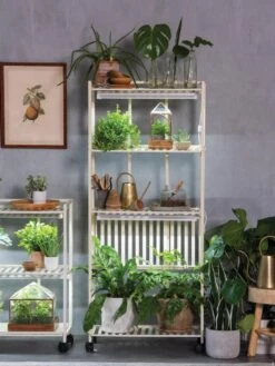 Oslo 4-Tier LED Grow Light Garden 19 Oslo 4-Tier LED Grow Light Garden -Gardeners 8609188 4118 tif