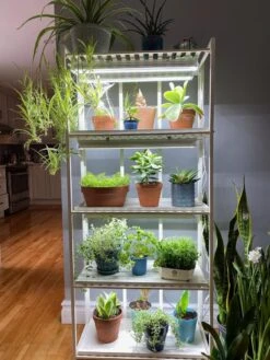 Oslo 4-Tier LED Grow Light Garden 23 Oslo 4-Tier LED Grow Light Garden -Gardeners 8609220 03IN tif